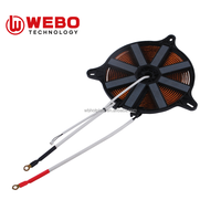 800W électrique cuivre Induction cuisinière bobine accessoire plaque chauffante pièces de rechange plaques de cuisson à gaz batterie de cuisine ensembles chauffe-eau à immersion
