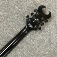 Sche.ter Syn.ster Custom Gloss Black Electric Guitar Mahogany Maple Neck Rosewood Fretboard Silver Pinstripes Foam Case-Fast