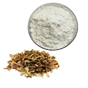 High Quality White Willow Bark Powder 15% Salicin White Willow Bark Extract Bulk