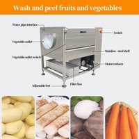Industriële Automatische Cassave Peeling Machine 150 Kg/u Hoge Capaciteit Elektrische Aardappel Dunschiller Machine Gember Cassave Peeling Machine