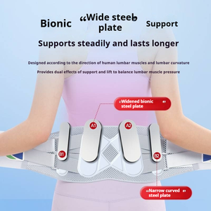 <span class=keywords><strong>Ceinture</strong></span> <span class=keywords><strong>de</strong></span> soutien lombaire unisexe réglable, respirante en maille, pour toutes les saisons, prévention des douleurs lombaires, stabilisateur <span class=keywords><strong>de</strong></span> taille, pour le soutien physique - Product Image 3