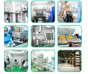 OEM ODM เวย์โปรตีนไอโซเลตมาตรฐาน<span class=keywords><strong>100</strong></span>% โกลด์โปรทีนเวย์โภชนาการที่เหมาะสม - Product Image 4