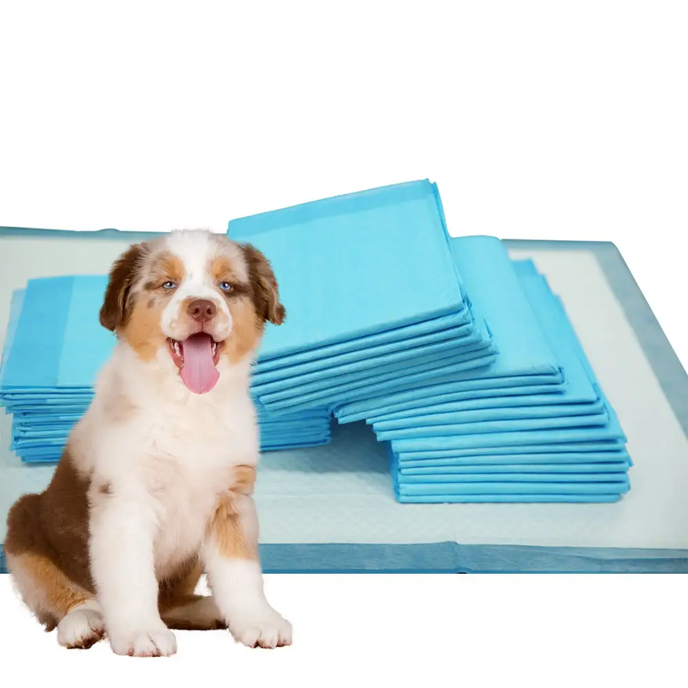 Custom logo Pet Care large 60 x 60 pet puppy training absorbent pee pad