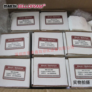 วาล์วลดแรงดัน Marsh Bellofram รุ่น 960-224-000 ขนาด 1/2 นิ้ว สำหรับควบคุมแก๊ส - Product Image 2
