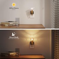 Veilleuses décoratives LOHAS à luminosité réglable avec capteur crépusculaire, veilleuses LED en verre en forme de fleur pour couloir et décoration de coiffeuse