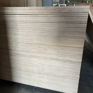 Commercial Birch Plywood Film Faced Plywood Plywood Sheet 18mm With Good Price