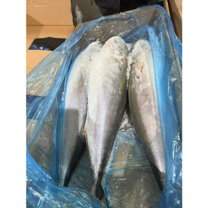 Pescado Congelado Taiseng, Cola Amarilla Entera, Tamaño 500-800g/unidad, para Supermercado - Product Image 1