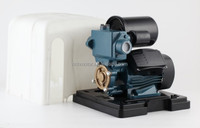 RUIQI 0.5HP Malaisie PS130 Couverture anti-vent Couverture anti-pluie Pompe auto-amorçante Pompes à eau OEM