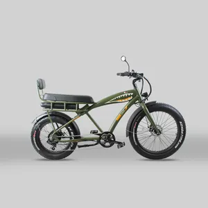 EU UK US Warehouse 48V 1000W Ebik20インチ自転車モーターファットタイヤ電動自転車bicicletav8 fatbike