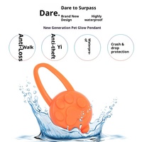 Accessoires lumineux pour la marche nocturne, pendentif clignotant pour chien de compagnie