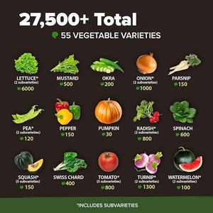 Pack de 55 plantes potagères de culture maison, légumes anciens pour le printemps, l'automne et l'hiver, non-OGM, coffre de survie pour le jardin - Product Image 2