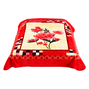 Couverture de lit en vison Raschel en peluche de luxe en gros Ensemble de couette d'hiver rectangulaire coréen tricoté en polyester super doux Vietnam - Product Image 4