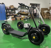 Scooter Eléctrico Chopper 2026 de 2000w 3000w Seev Citycoco con Neumáticos Anchos
