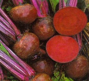 <span class=keywords><strong>Remolacha</strong></span> Boltardy Root Vegetable Grow Kit - Product Image 4