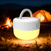 Lampe de lecture LED à clipser rechargeable pour lit, ordinateur portable, étude, utilisation portable