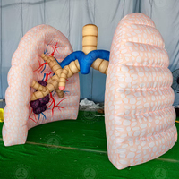 Modèle anatomique gonflable extérieur pour poumons Ballon publicitaire pour l'éducation médicale Pompe électrique durable et étanche gonflée