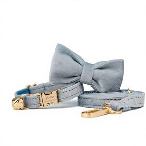 Ensemble collier et nœud papillon personnalisés Dustyblue Veet pour chat et petit chien avec étiquette de nom gravée gratuite et clochette dorée - Cadeau d'anniversaire pour animal de compagnie - Product Image 1