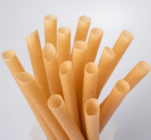 Azanature SC-<b>STRAW</b>-001 Sugarcane <b>Straw</b> Biodegradable Eco Friendly Flexible Durable Disposable <b>Drinking</b> <b>Straws</b> - Product Image 1
