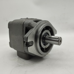 Pompe à engrenages hydraulique LXPG1H LXPG2H LXPG3H LXPG2G Pompe à engrenages haute pression LXPG1H-LX1/008RF1A0033 - Product Image 6