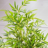 Vente en gros de fleurs de bonsaï vivants en bambou artificiel d'aspect réel Décoration de mariage extérieure d'intérieur Décoration extérieure d'intérieur de qualité supérieure