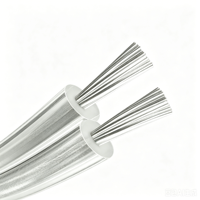 UL2468 2-adriges Transparentes Flachparallel-Kabel aus Kupfer mit PVC-Isolierung für Elektronische Verbindungen