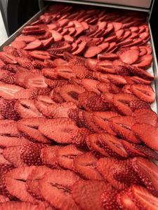 Liofilizzatore Sottovuoto Professionale 4kg 6kg 10kg 12kg, Piccolo Mini Essiccatore a Congelamento per Alimenti Frutta Caramelle in Vendita - Product Image 3