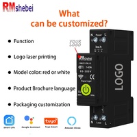 Compteur d'énergie intelligent Wi-Fi Tuya RMshebei 2P 63A 230V avec protection contre les fuites à la terre, les surtensions et les sous-tensions, relais et disjoncteur