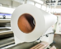 Papier à séchage rapide de haute qualité et bon marché 48gsm3gsm 35gsm 30gsm rouleaux de papier de sublimation à grande vitesse