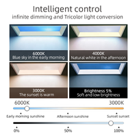 Lampe d'ambiance à LED, lumière du coucher de soleil, lumière artificielle, application Tuya, lampe de panneau moderne bleue pour la maison et le bureau, indice de protection IP54, à intensité variable