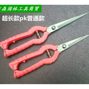 Sécateur bypass à manche allongé Taiwan Mountain Wisteria en acier inoxydable rouge 20-30 mm pour la réduction de la densité des baies de raisin et de goji - Product Image 3