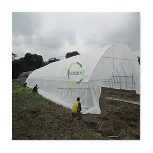 シングルスパン農業温室シェードネットプラスチックロール合金グリーンハウスを構築するための低コスト材料
