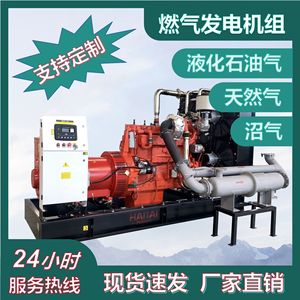 Generador de Gas para Hombre, Motor de 100kW, Equipo de Energía Industrial Rojo - Product Image 4