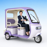 MEDIDO Nouveau tricycle électrique pour adultes de 800 W avec changement de vitesse