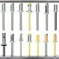 Machine d'assemblage de rivets en aluminium à grande vitesse pour applications en métal et métallurgie