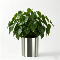 Jardinières hautes en acier inoxydable personnalisées, jardinières modernes en acier inoxydable brossé, grands pots de fleurs cylindriques