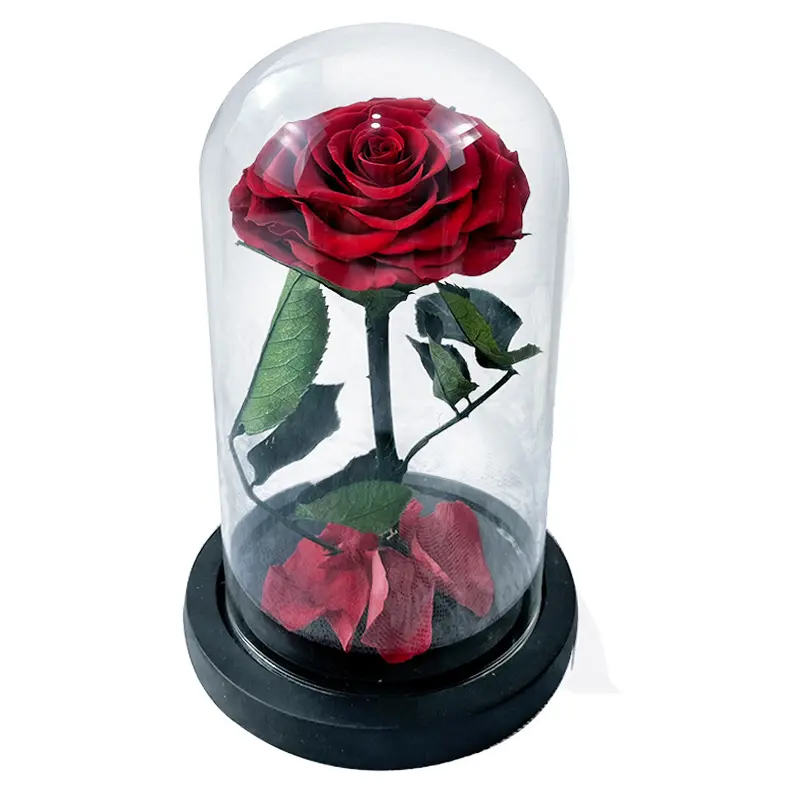 अमेज़ॅन के हॉट सेलिंग 2024 वेलेंटाइन डे उपहार चीनी लाल शाश्वत उपहार बॉक्स के साथ कांच के गुंबद में हमेशा के लिए संरक्षित गुलाब का फूल