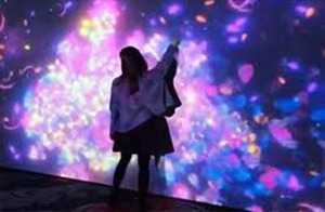 Exhibiciones de Museo Interactivas en 3D, Pantalla Digital con Diseño de Exhibición para Museo de Ciencias en Interiores, Holograma, Exhibición de Arte, Pared de Juegos - Product Image 2