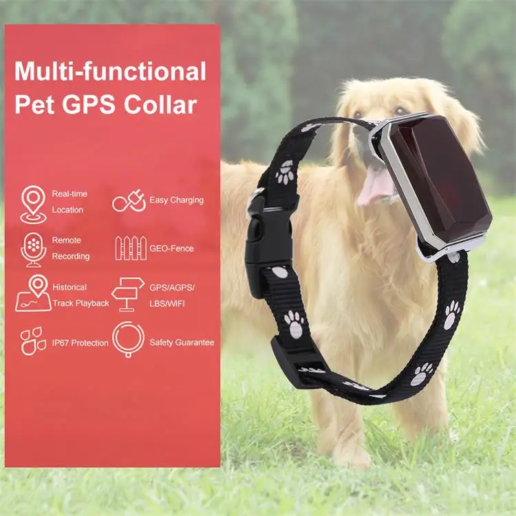 Moderne Luxe Waterdichte Kleine Tractive Huisdier Kraag Hond Fitness Activiteit Gezondheid Gps Tracker 4G Kraag