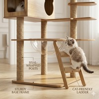 Structure d'escalade pour chat, étagère pour chat, capsule spatiale pour chat, lit pour chat, arbre à chat avec plateforme de observation intégrée, jouets pour chat