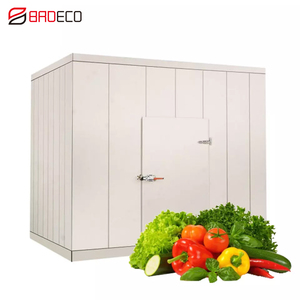 Phòng Lạnh Đi Bộ Trong Phòng Lạnh Tủ Đông, Tủ Đông Tủ Lạnh Đi Bộ, Phòng Lạnh Tủ Lạnh Phòng Lạnh Đi Bộ - Product Image 4