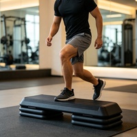 Plataformas de Step Aeróbico OKPRO al por Mayor con Logotipo Personalizado, con Elevadores Ajustables para Ejercicio en Gimnasio