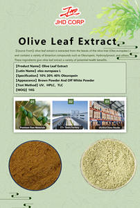 USA / EU Warehouse Herbal <strong>Extract</strong> <strong>Olive</strong> <strong>Leaf</strong> <strong>Extract</strong> Powder 10%-80% <strong>Oleuropein</strong> 5%-99% Hydroxytyrosol - Product Image 2
