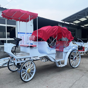 รถม้าไฟฟ้าคุณภาพดีสำหรับการท่องเที่ยว บริการขนส่งพิเศษสำหรับการเที่ยวชมสถานที่ - Product Image 3