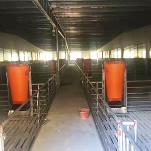 Comedero Automático para Cerdos de 100 kg de Alta Capacidad con Diseño de Ahorro de Alimento para Engorde de Cerdos, Sistema Automático de Alimentación de Cerdos - Product Image 6