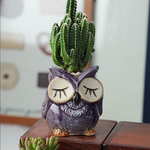 Dessin animé <span class=keywords><strong>animaux</strong></span> petit succulent intérieur bonsaï Mini Pot en <span class=keywords><strong>céramique</strong></span> <span class=keywords><strong>jardin</strong></span> fleur plantes Pots en <span class=keywords><strong>céramique</strong></span> succulente Pot - Product Image 3