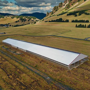 Rifugio per Bestiame a Basso Costo, Stalla per Allevamento Lattiero-Caseario, Struttura in Acciaio per Bovini - Product Image 2