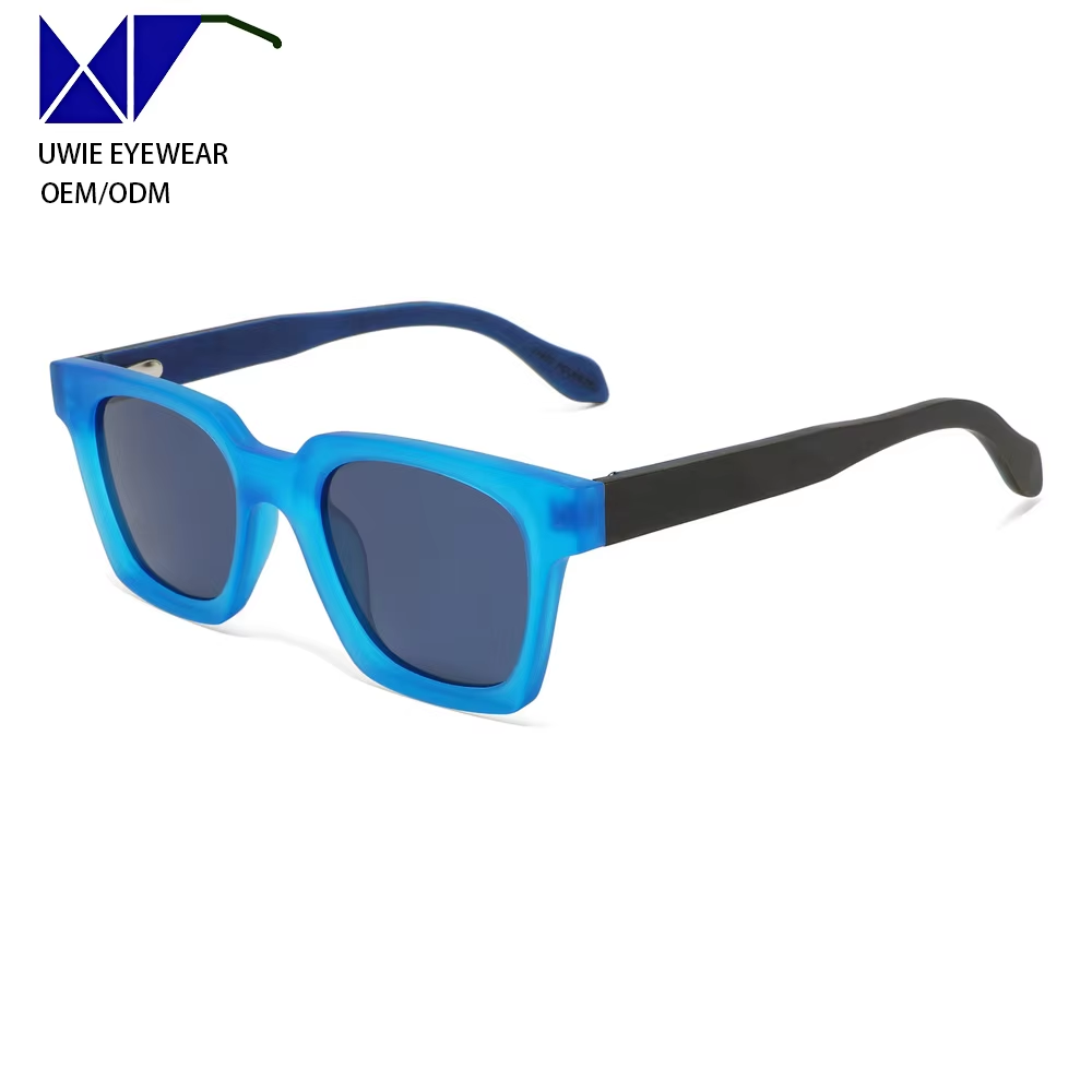 Monture bleu mat, verres gris