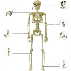 Dekorasi Pesta rumah hantu Lucu kerangka Halloween badut plastik seluruh tubuh realistis - Product Image 2