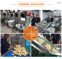 Machine de Production automatique de pommes de terre, 1 unité, ligne de Production de Chips