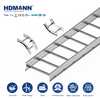 Échelle à câbles Hdmann légère en acier au carbone électrogalvanisé pour système de routage aérien de câbles réseau et d'alimentation pour immeubles de bureaux